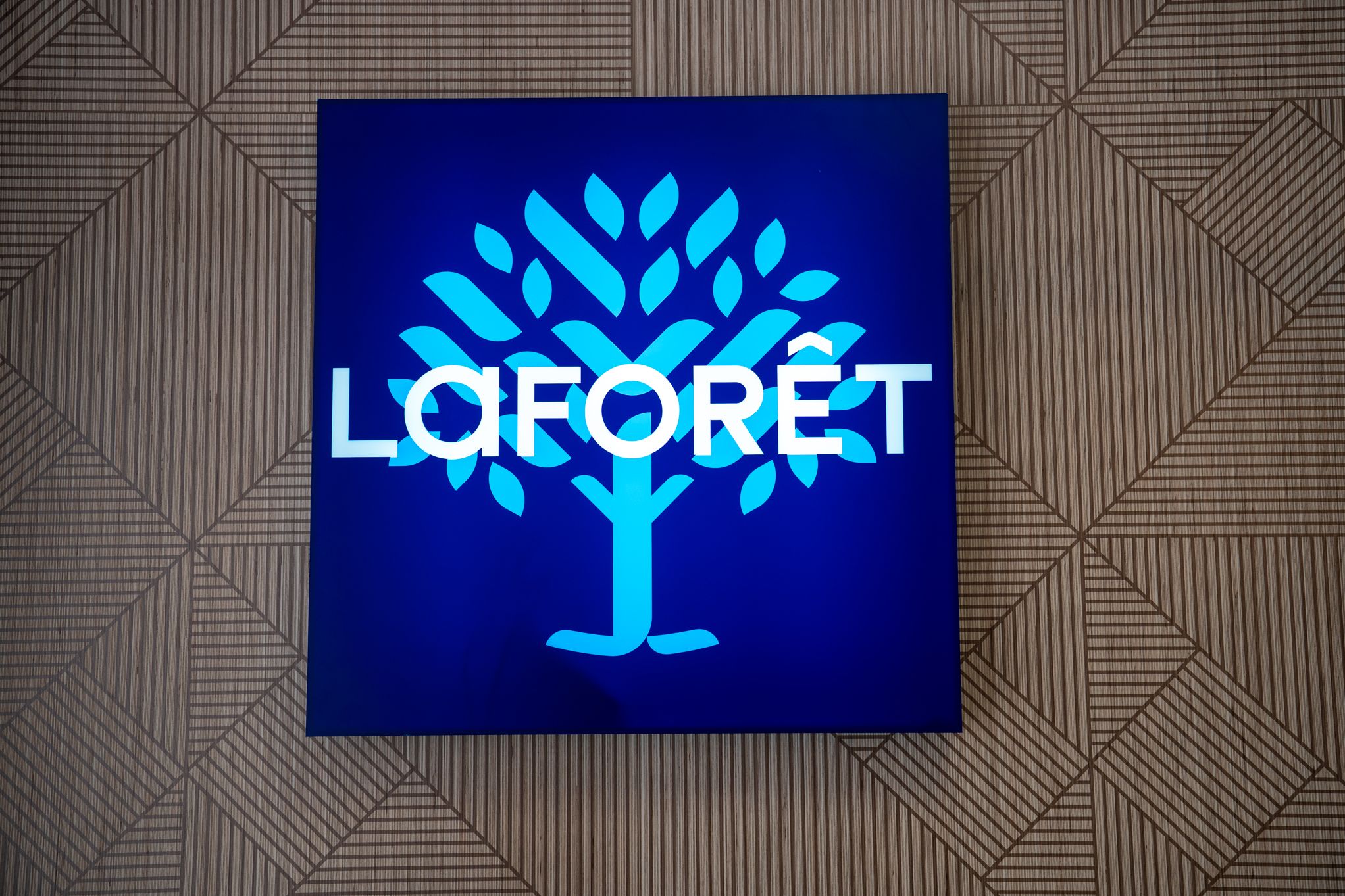 Agrandir l'image 4