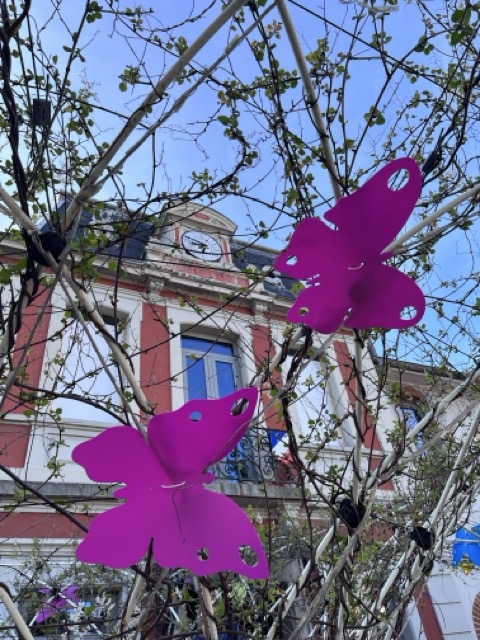 Agrandir l'image 3