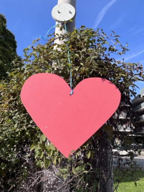 Agrandir l'image 4