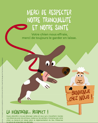 Agrandir l'image 2