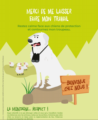 Agrandir l'image 5